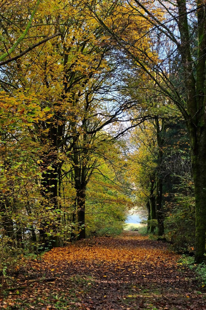 14855980_10209276023371200_2750841797806704340_o